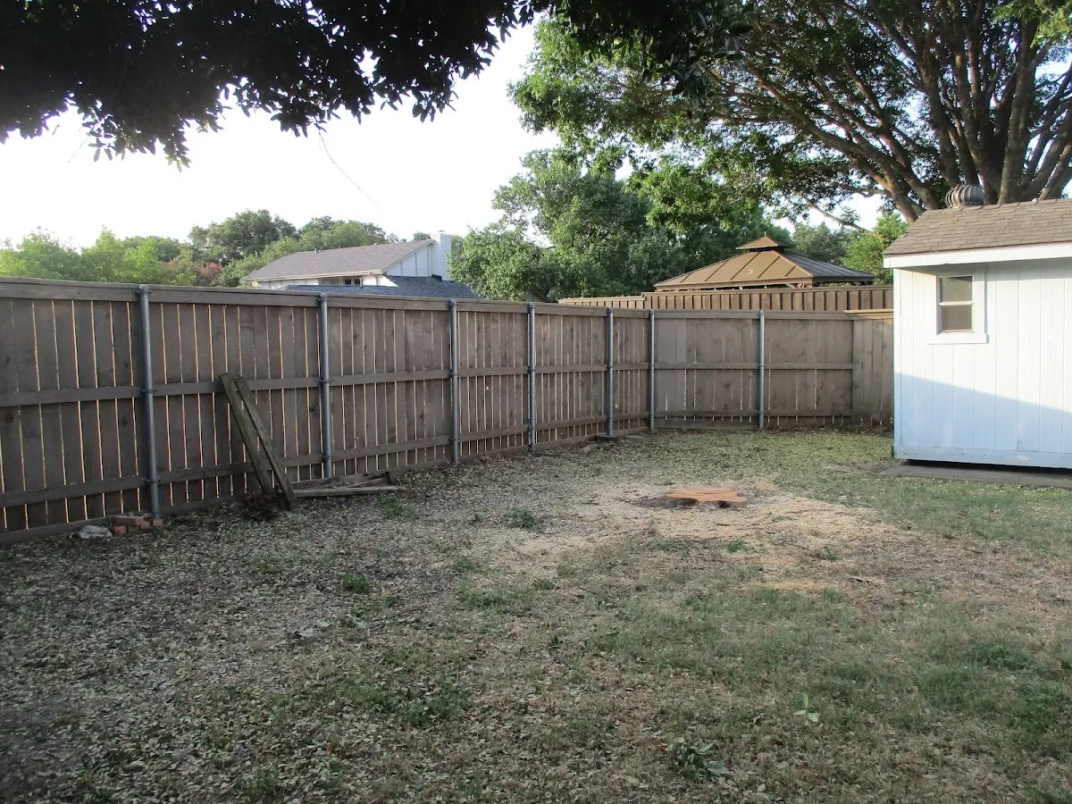 Cleared yard after professional tree removal in Pound Ridge